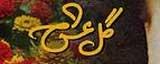 آوازی سرشار از صفای جوانی