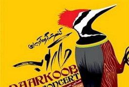 آلبوم و کنسرت دارکوبها در راه است